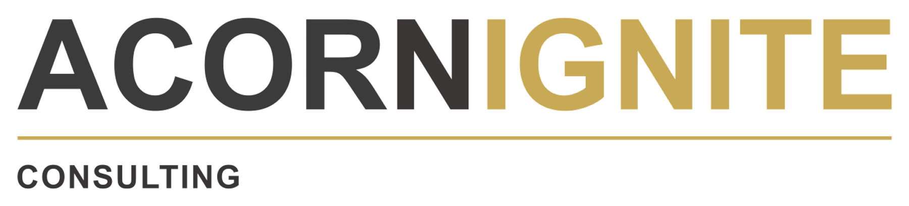 Acorn Ignite Consulting